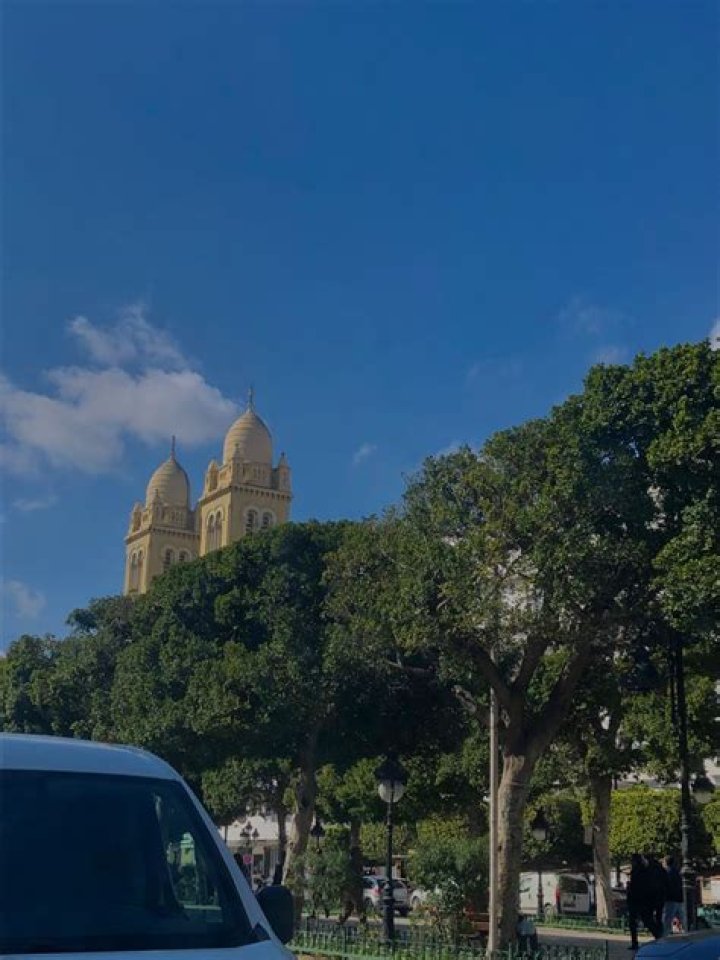 Nassim Bourguiba Wiki, Biographie, Age, Mariage, Famille & Carrière - Celebrity.tn