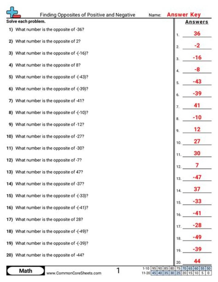 Opposite Numbers Calculator