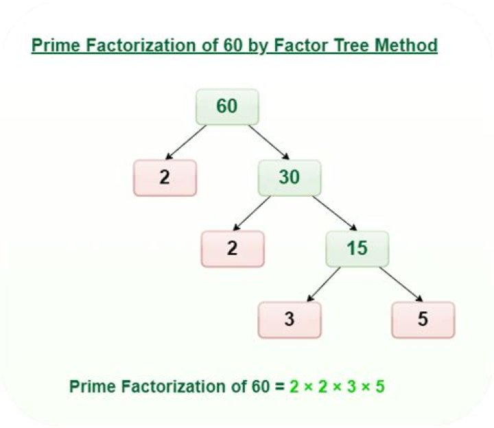 Show Factorization for 80