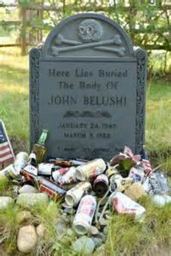 What Was Jim Belushi Health Before Death? Obituary And Death Cause